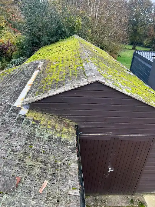 Roof covered with green moss and weeds above a brown wooden shed surrounded by trees and grass.