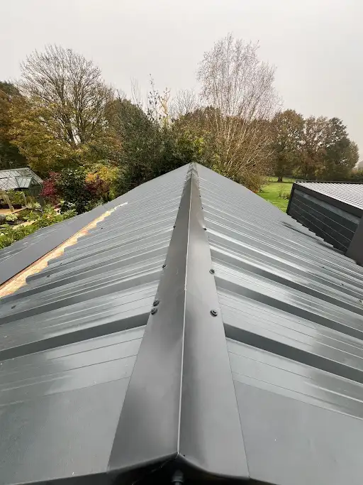View along a gray metal rooftop ridge with trees and garden visible in the background on a cloudy day.