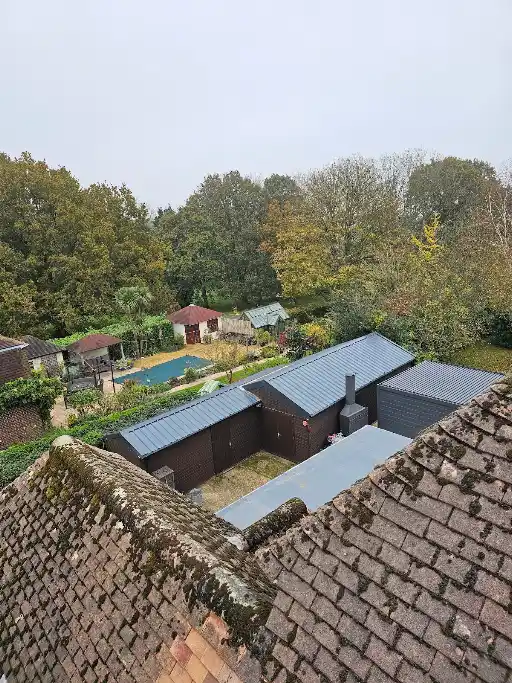 Overhead view of rooftops, sheds, a small pool, and trees with autumn foliage in the background.