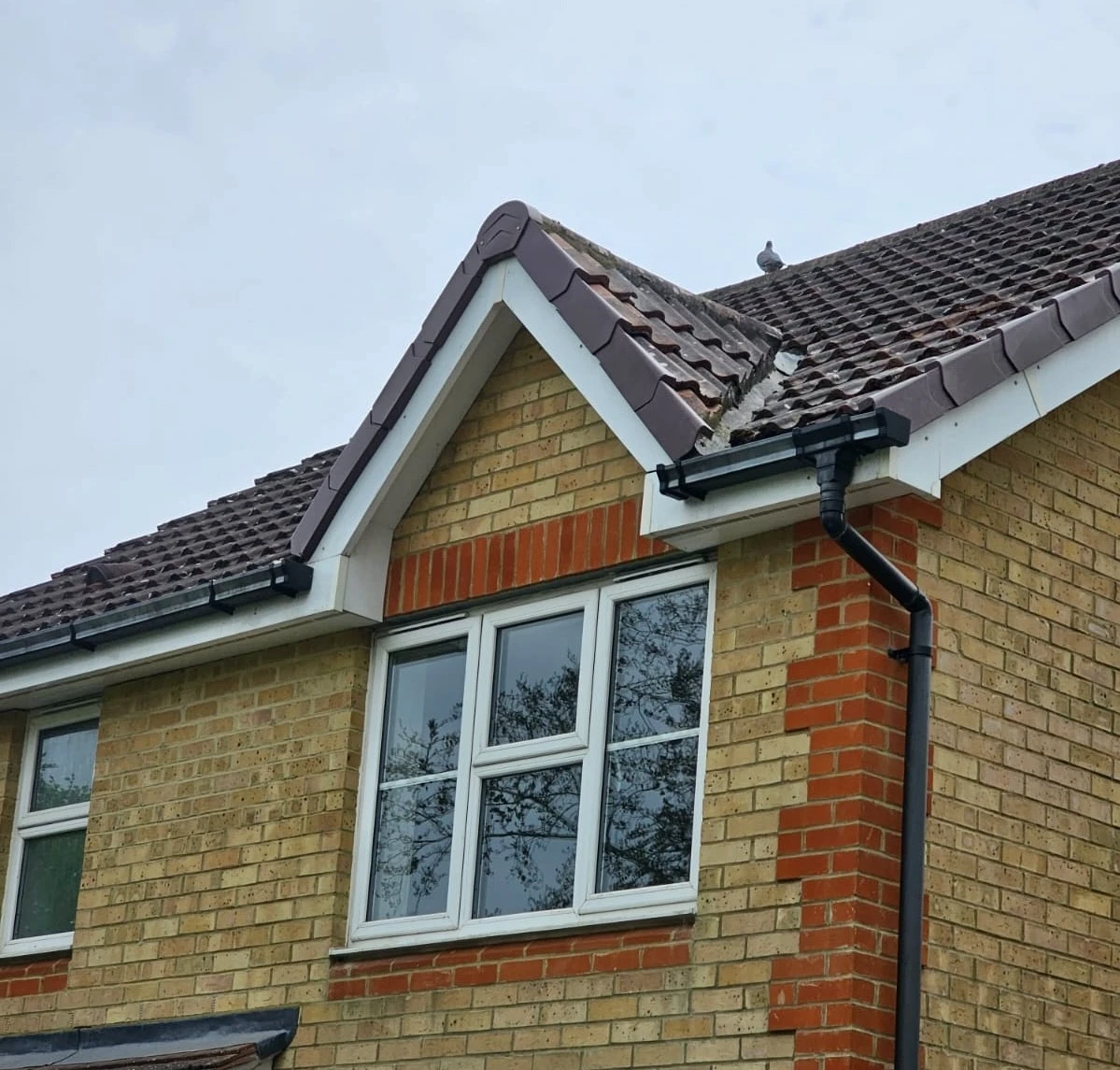 Upper part of brick house with tiled roof, white-framed windows, and a bird on the roof ridge.